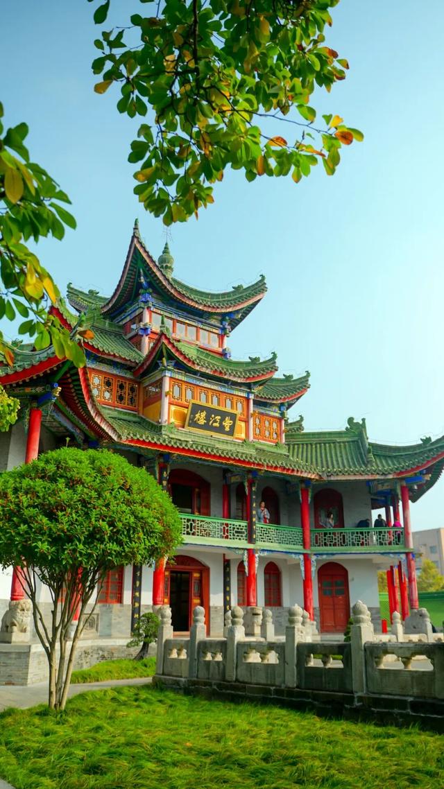 pong香！汉中的桂花怎么全“想开了”→