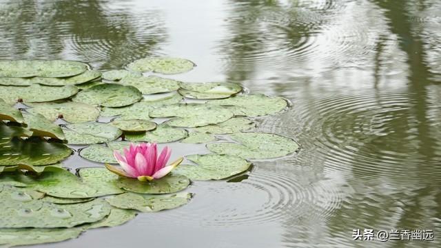 两性关系：为什么65岁后，女人比男人更希望这些，你真的懂吗