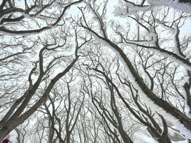 雪峰刺破苍穹 云海托举世界