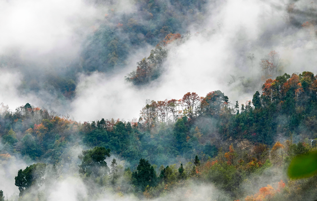 正式通车！全线免费！新挖赏秋天花板小城，绝美彩林不输九寨！地道美食50元吃爽！
