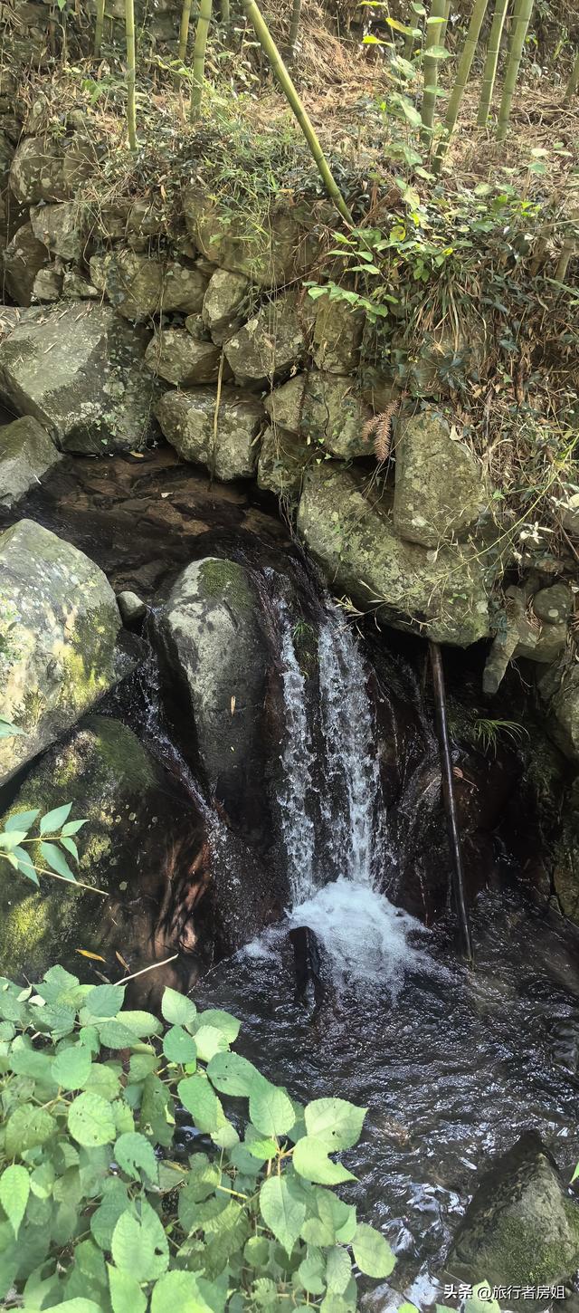 徒步奉化大雷山，古村、古道、梯田、秋景全部包揽