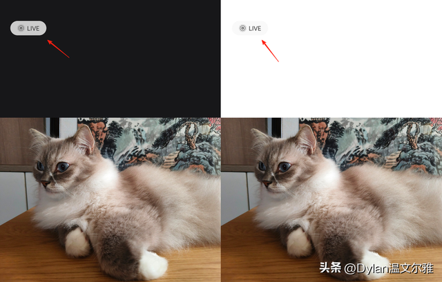一文搞懂SMB/FTP/WebDAV、iSCSI等协议，NAS用对了才能体验翻倍