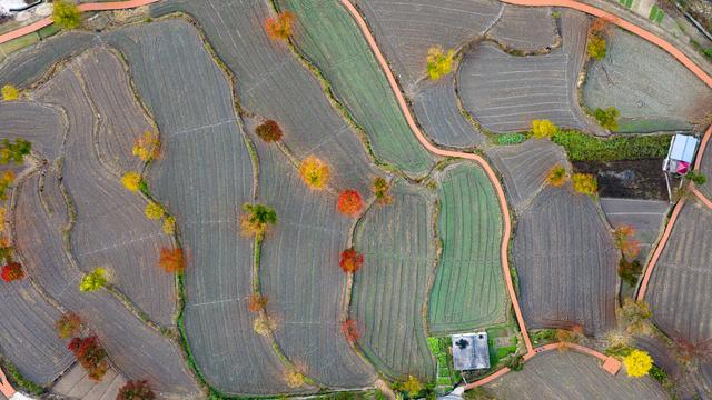 大别山中徐凤冲