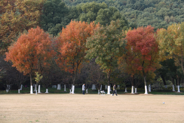 超出片！江阴这些地方“红了”！