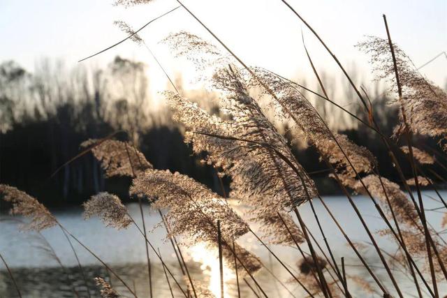 用电影的方式“打开”初冬！每一帧，都浪漫