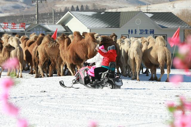 2025红石崖冰雪文化旅游季系列活动开幕