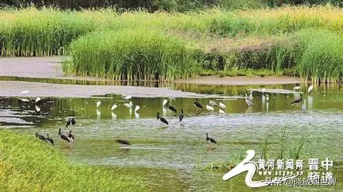 山西省介休市：于古韵新景间邂逅诗意（四）