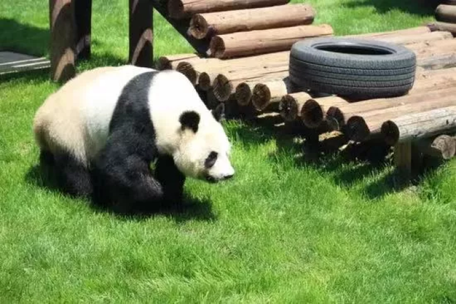 气温舒爽正当时 畅游鞍山好时节