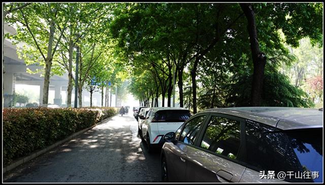 银絮伴轮行：美利达狼8，180公里薛城→济宁戴庄医院流苏探访评测