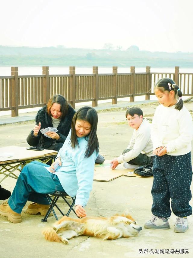 0.5H直达长株潭私藏“小白洋淀”，荻花摇曳处解锁老船厂遛娃秘境！