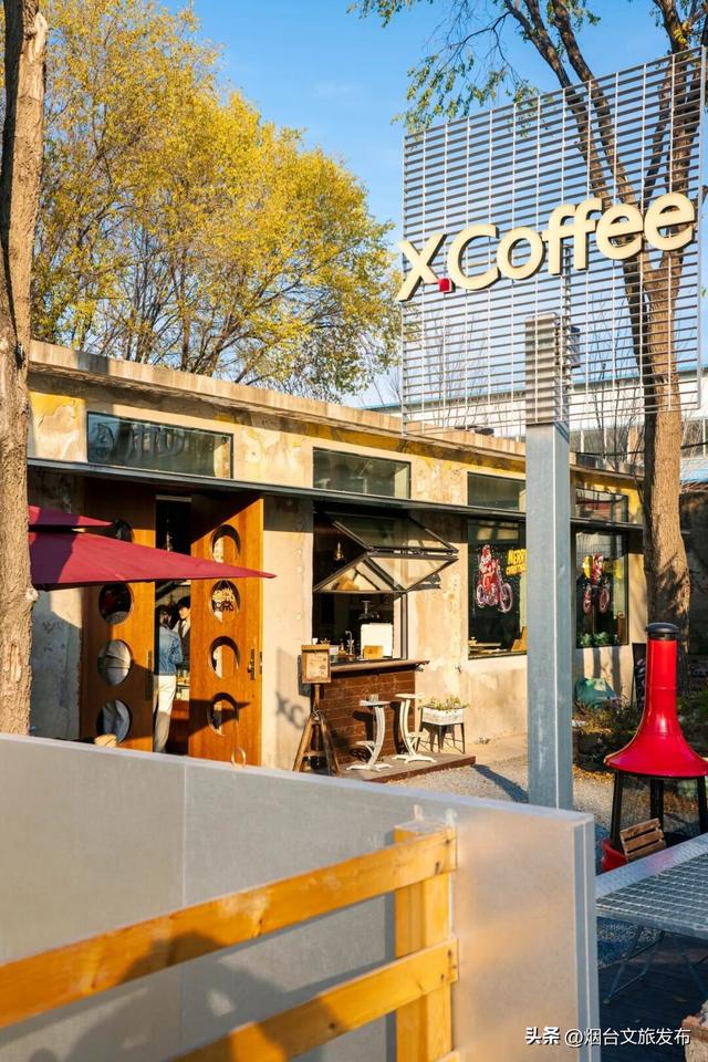 【乐游烟台】周末好去处丨被低估了！烟台这三处“初冬避风港”太好逛了