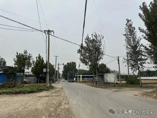 冠县乡韵·桑阿镇野场村