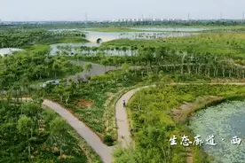 美不胜收！西青以“绿”为笔 绘就绿水青山新画卷图片
