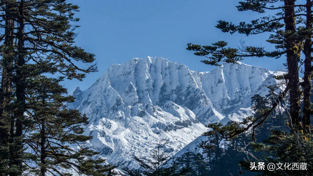 这几年最大的教训，想去西藏得趁早！