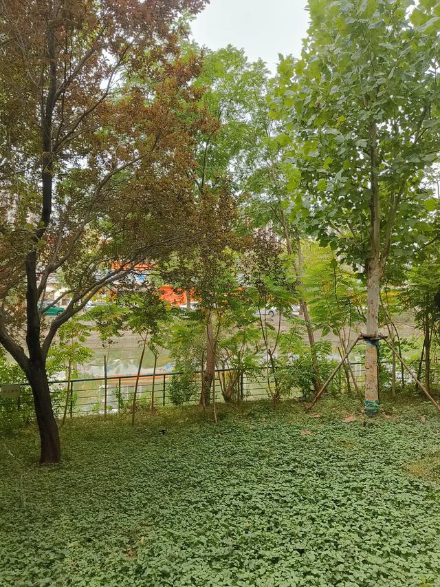 天津复兴门桥《绿道公园》
