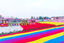 2024太原古县城舞动城景嘉年华花海乐园，5月1日，隆重启幕！成人门票无限送！图片