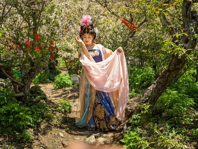 海棠花与汉服佳人的泰山之约