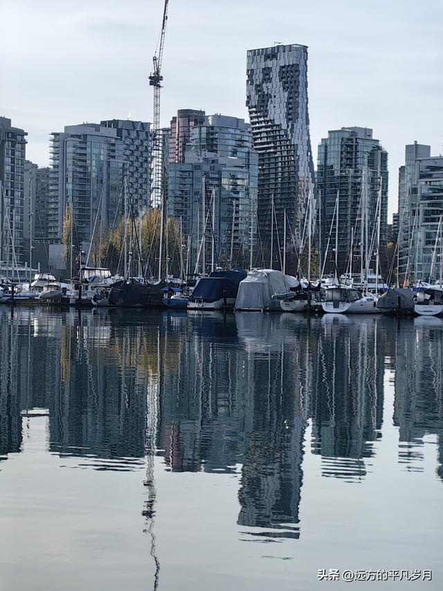 温哥华游记（四）