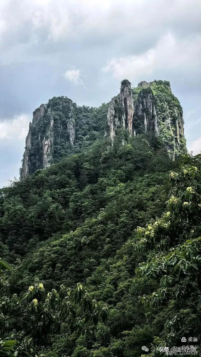 这座有24个奇峰、14个石洞,120处景点的名山你可去过?