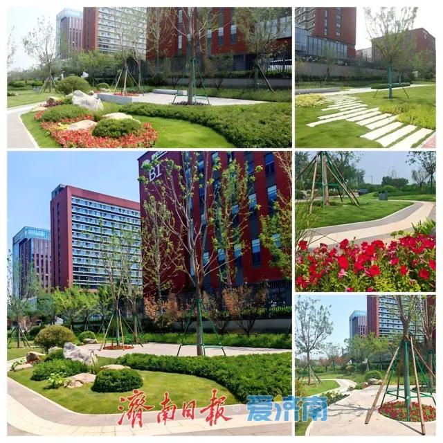 济南“上新”13处城市公园！