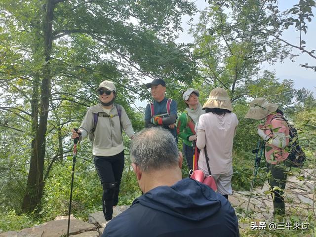 无为在歧路，莱芜霹雳尖