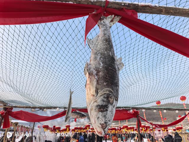 黑龙江牡丹江：镜泊湖千年大冬捕焕发渔猎文化新活力
