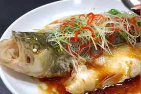 买鲈鱼时，挑“大肚子”还是“小肚子”的？差别很大，搞懂了再买图片