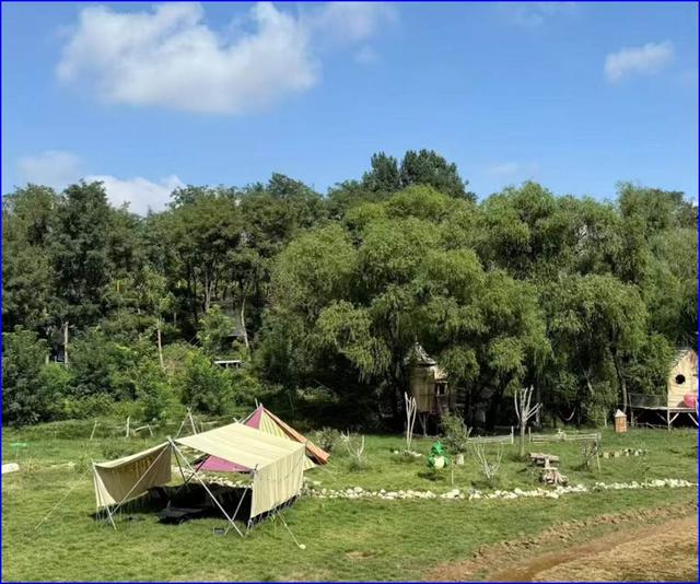 这一站，济南！秋映华诞 槐荫你好，奔赴槐荫黄河之约！双节 8 大宝藏打卡地，邂逅大河秋日浪漫