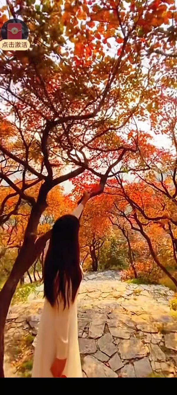 “青春逐秋，故宫梦启说走就走。”