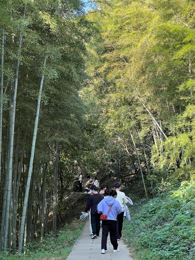 上天竺到云栖竹径，徒步9公里，感受一路秋意。