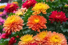 照顾好自己，风雨由天，快乐由己，保重身体，活着就要开心快乐图片