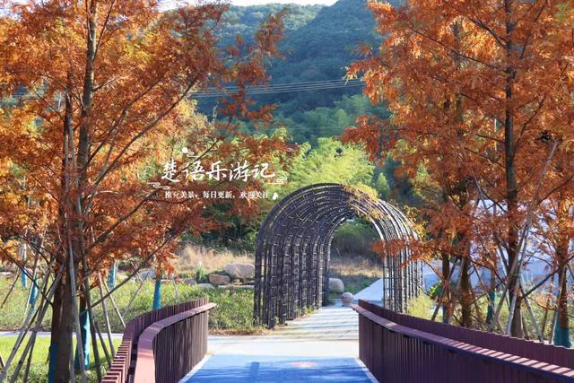 浙江绍兴少有人来的湖泊，景观步道被红杉掩映，平日秀丽秋色更美