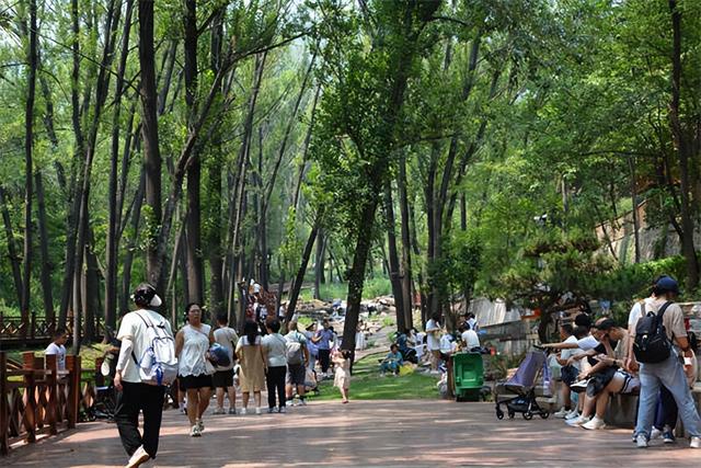 走进蒙山景区，感受夏日清凉...