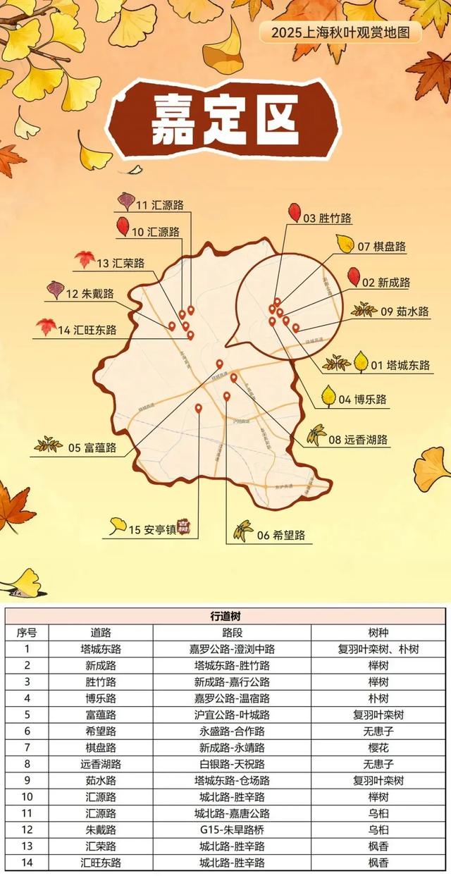 2025上海秋叶地图出炉,徐汇这些点位不可错过!