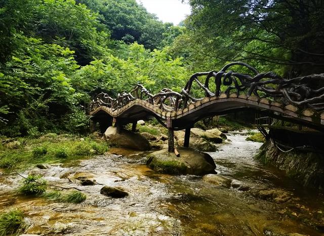跟着旅豫大熊猫去旅行｜大熊猫“灵岩”“迈迈”带你逛栾川！