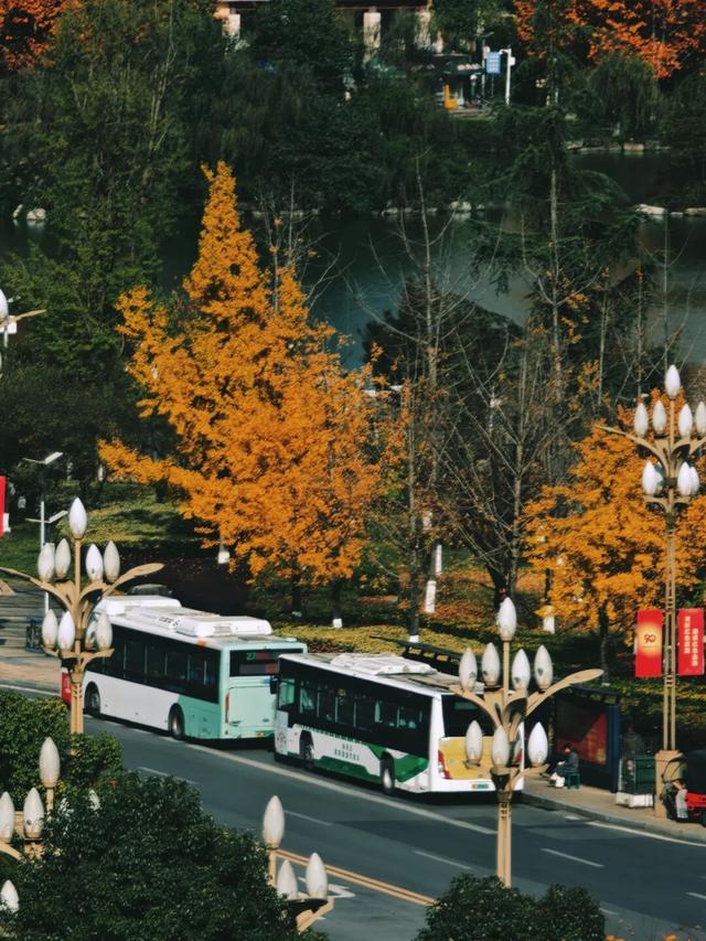 值此红黄，新蒲初冬画卷已打开！