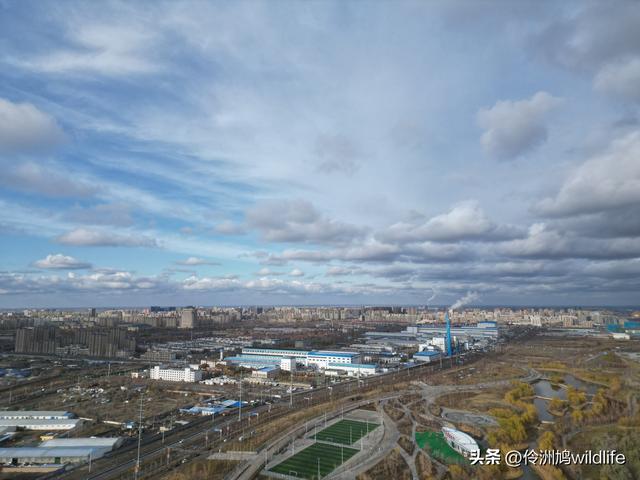 新疆昌吉头屯河公园