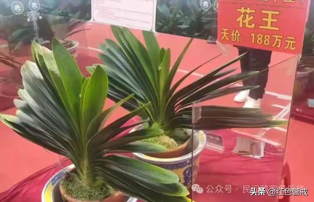 这些年贬值最多的十样东西，从上百万跌到白菜价，为啥没人要了？