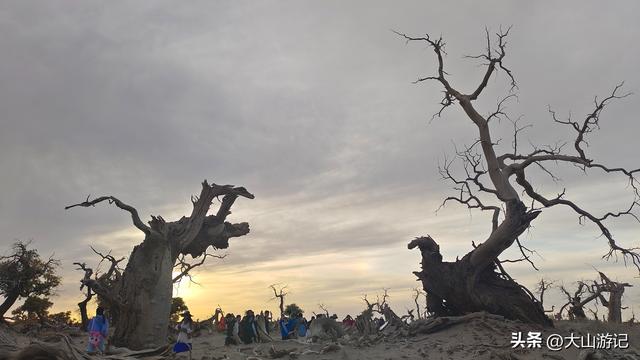 2025国庆西北自驾游（3）：黑城弱水胡杨风景区