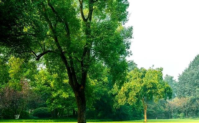 两性关系：你懂什么叫“人过五十五，雌雄不再殊”吗？不妨来看看