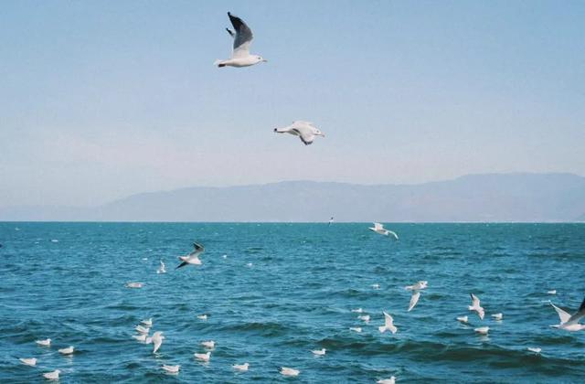 大理又要开“滤镜”了