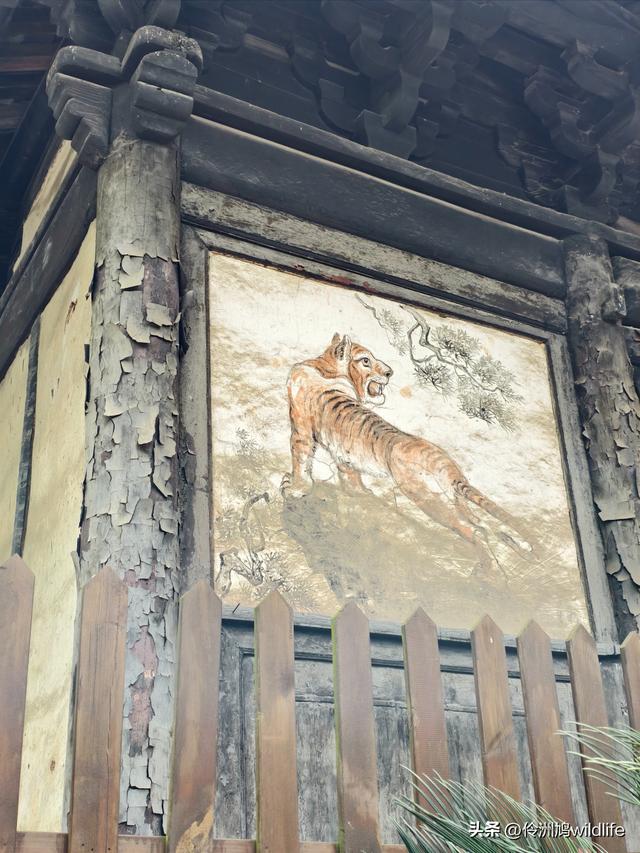 成都徒步（64）·新津篇③观音寺