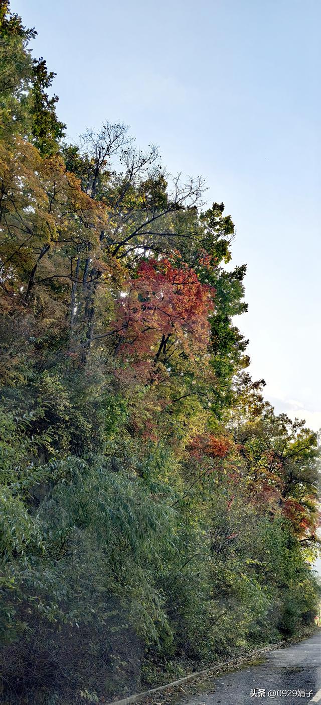 本溪关门山，枫叶之约