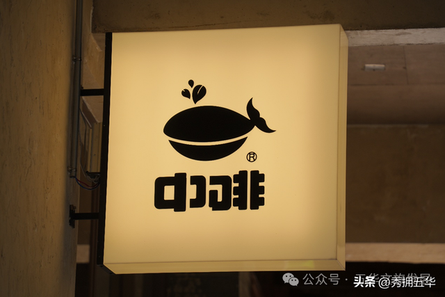 在翠湖与老街之间，生长出的昆明慢生活样本