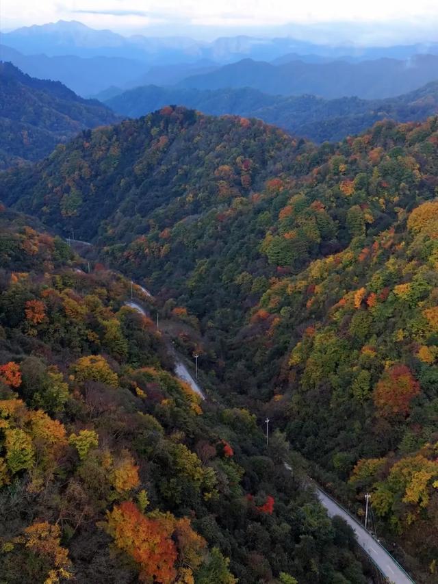谁说秋天只有凋零?紫柏山两日游攻略来了!