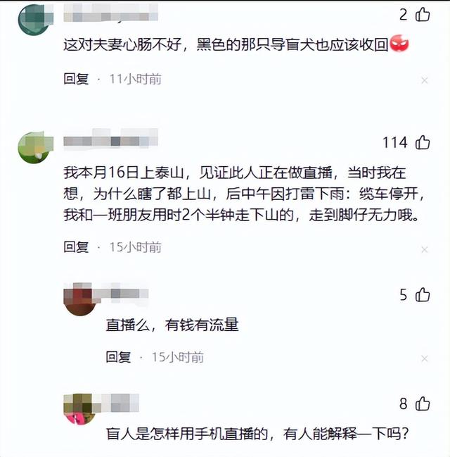 带导盲犬爬泰山的夫妻被网友批评，导盲犬芬迪看着非常累