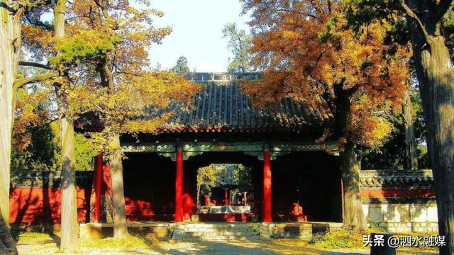 咔嚓🤳！抓住济宁秋天的“小尾巴”~