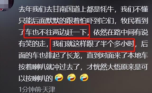 摩旅青海被牧民打头后续！7峰骆驼丢失，当地人发声 骑手有错在先