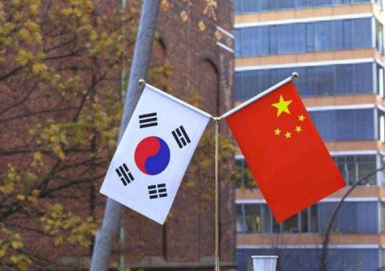 韩国教授警告：全世界只有韩国看不起中国，但中国眼里却没有韩国