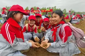 曾都区实验小学：我们把蔬果和希望播种在春天里图片